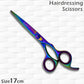 beautiful rainbow scissors on white background