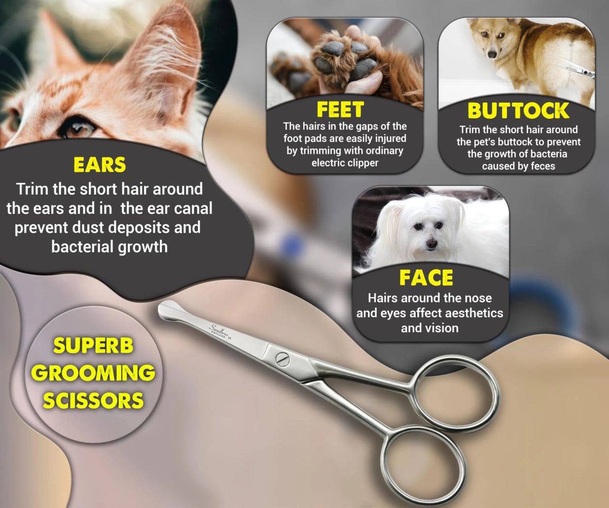 Face and Paw Scissors Ideal for Dogs, Cats and Small Animals - Sandbros