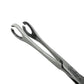 Mini Sponge Forceps for Body Piercing and Surgeries - Sandbros