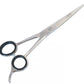 Professional Pet Grooming Scissors, Cutting Dog Hairs, Large Shears